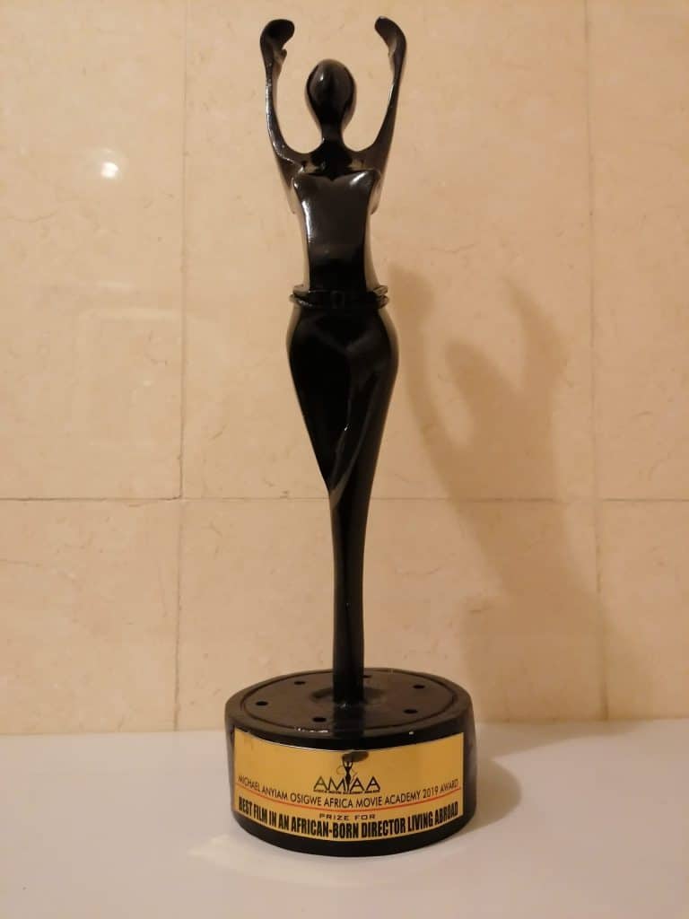 2019 African Movie Academy Award